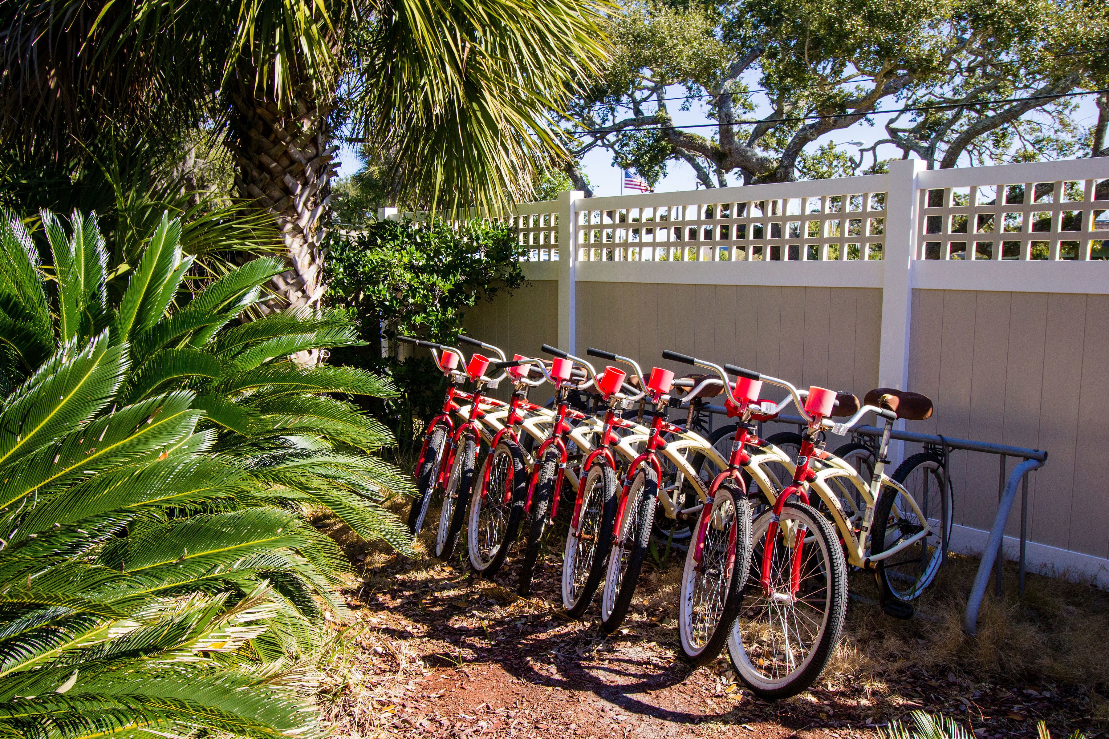 A row of bicycles parked against a white fence, with a palm tree and a building in the background.