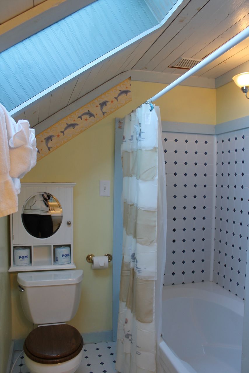 A bathroom with a toilet, a bathtub, and a shower curtain.