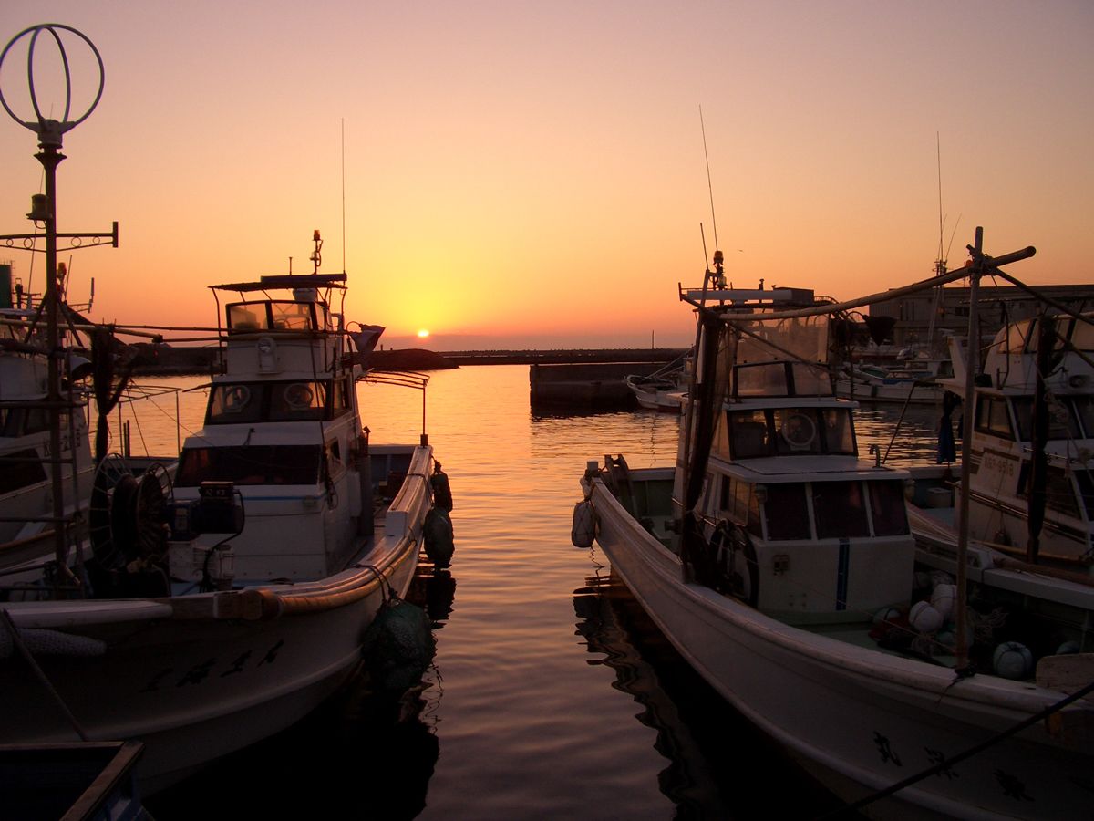 A marina with boats docked at sunset.