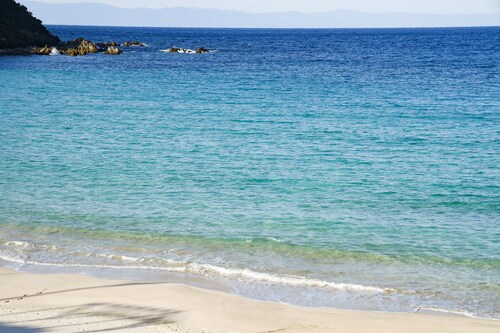 種子島あらきホテル