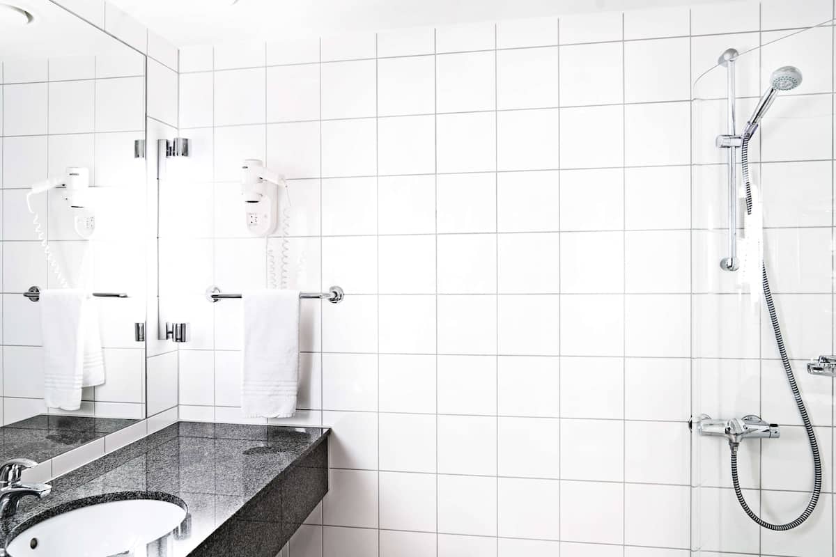 combined shower/bathtub, free toiletries, hair dryer, towels