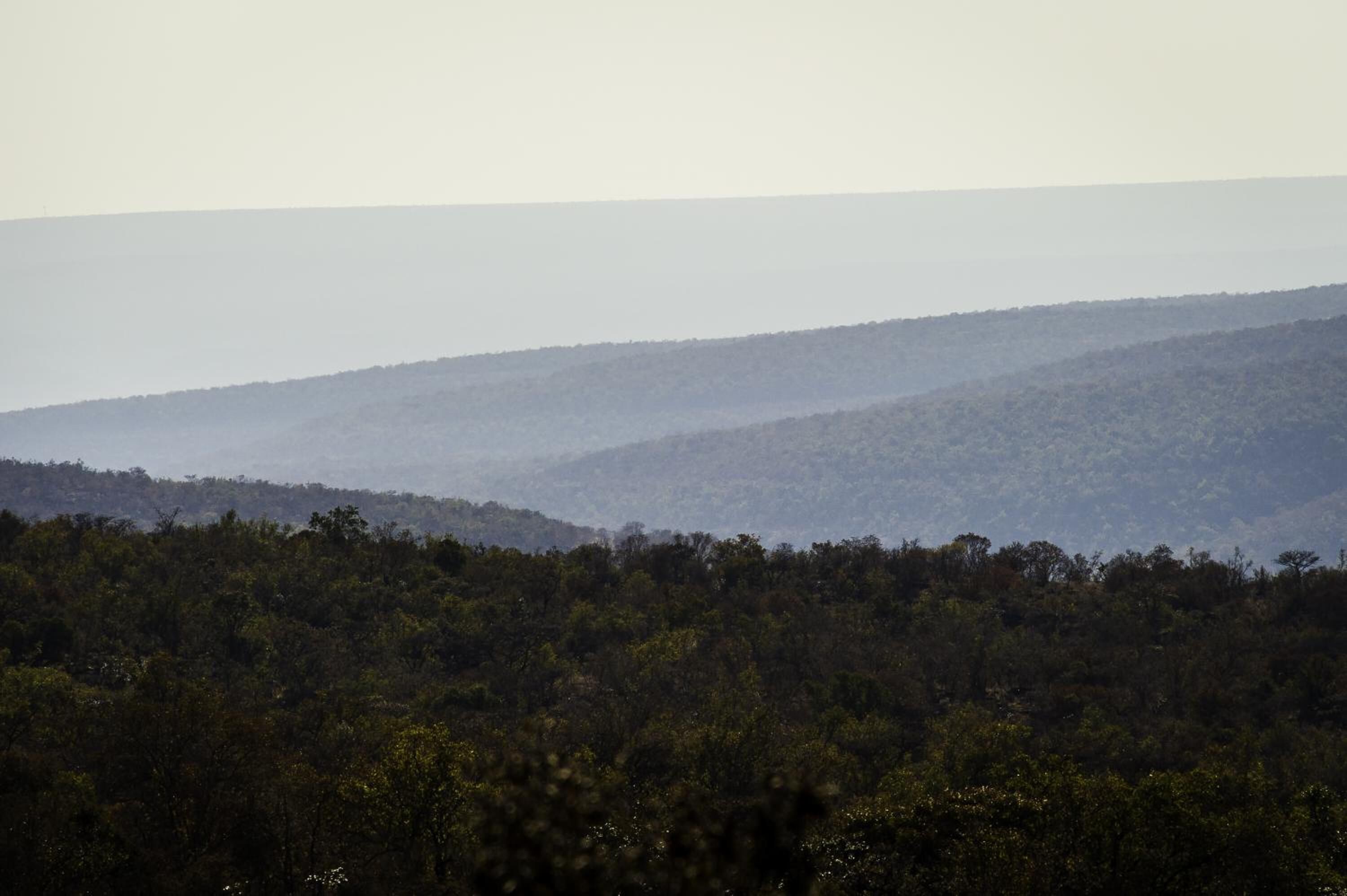 A forested landscape with rolling hills.