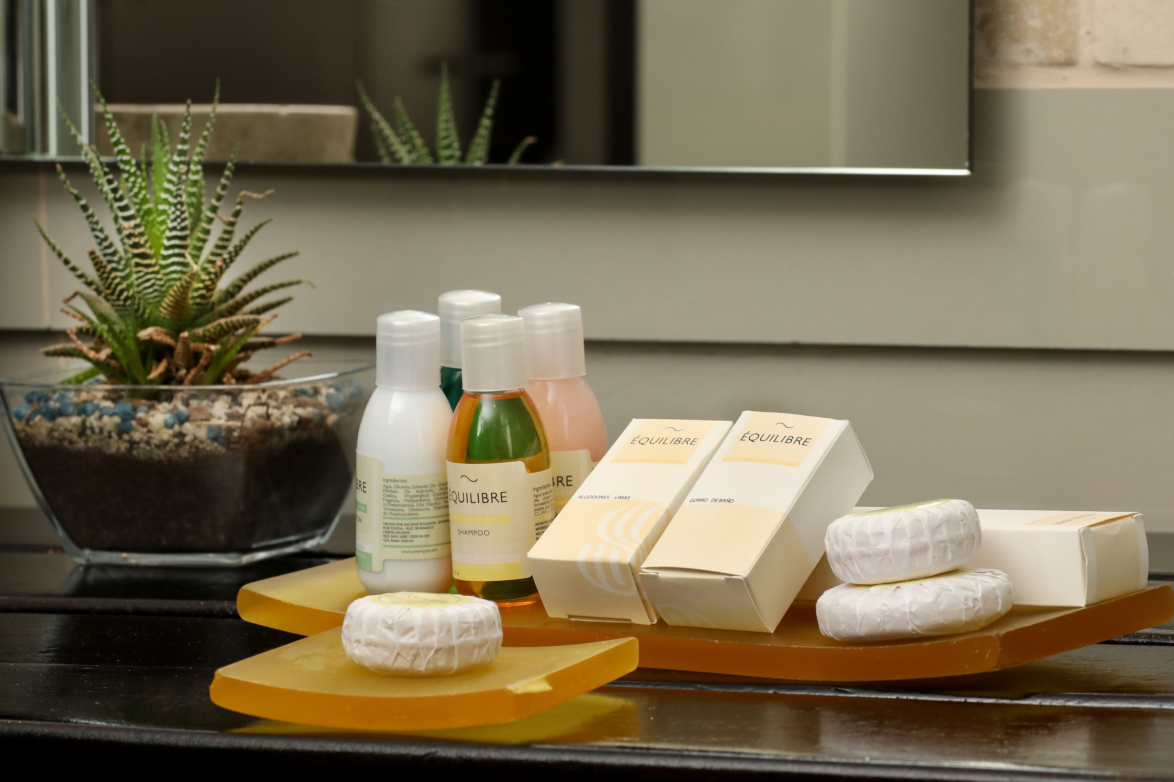 combined shower/bathtub, deep-soaking bathtub, rainfall showerhead