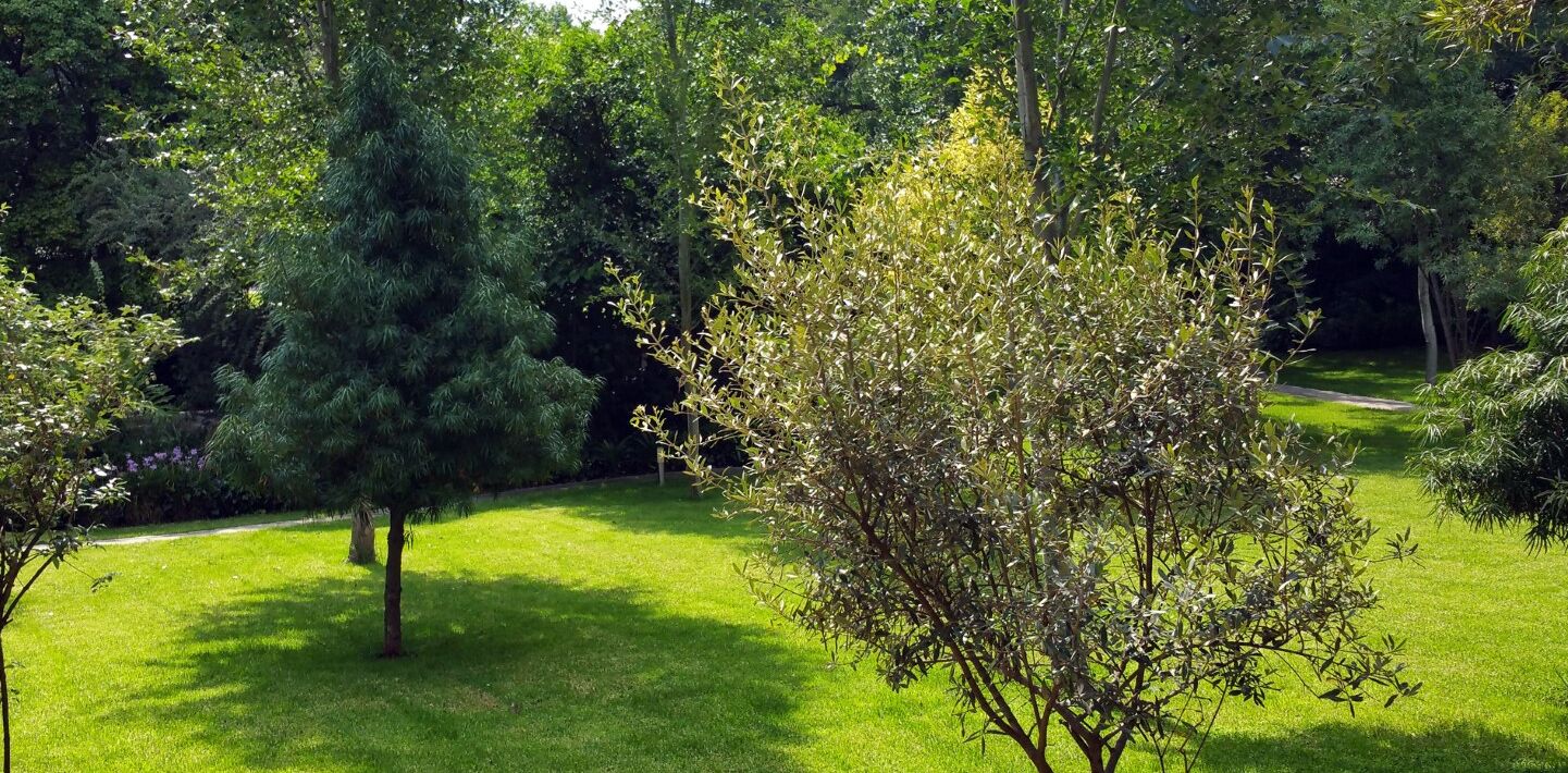 standard double suite | garden view