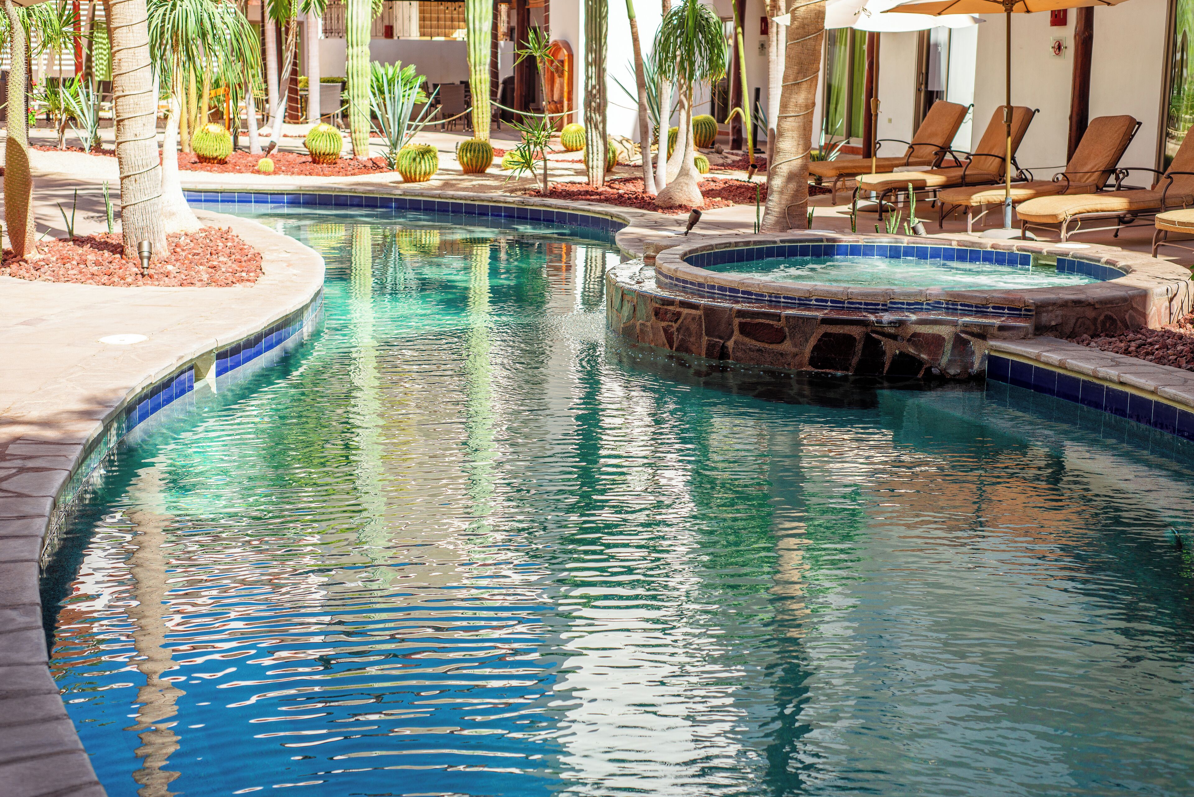 Una piscina con hidromasaje, rodeada de palmeras y sillas de descanso.