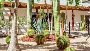 Un patio con cactus y palmeras, una pérgola de madera y un edificio de fachada blanca.