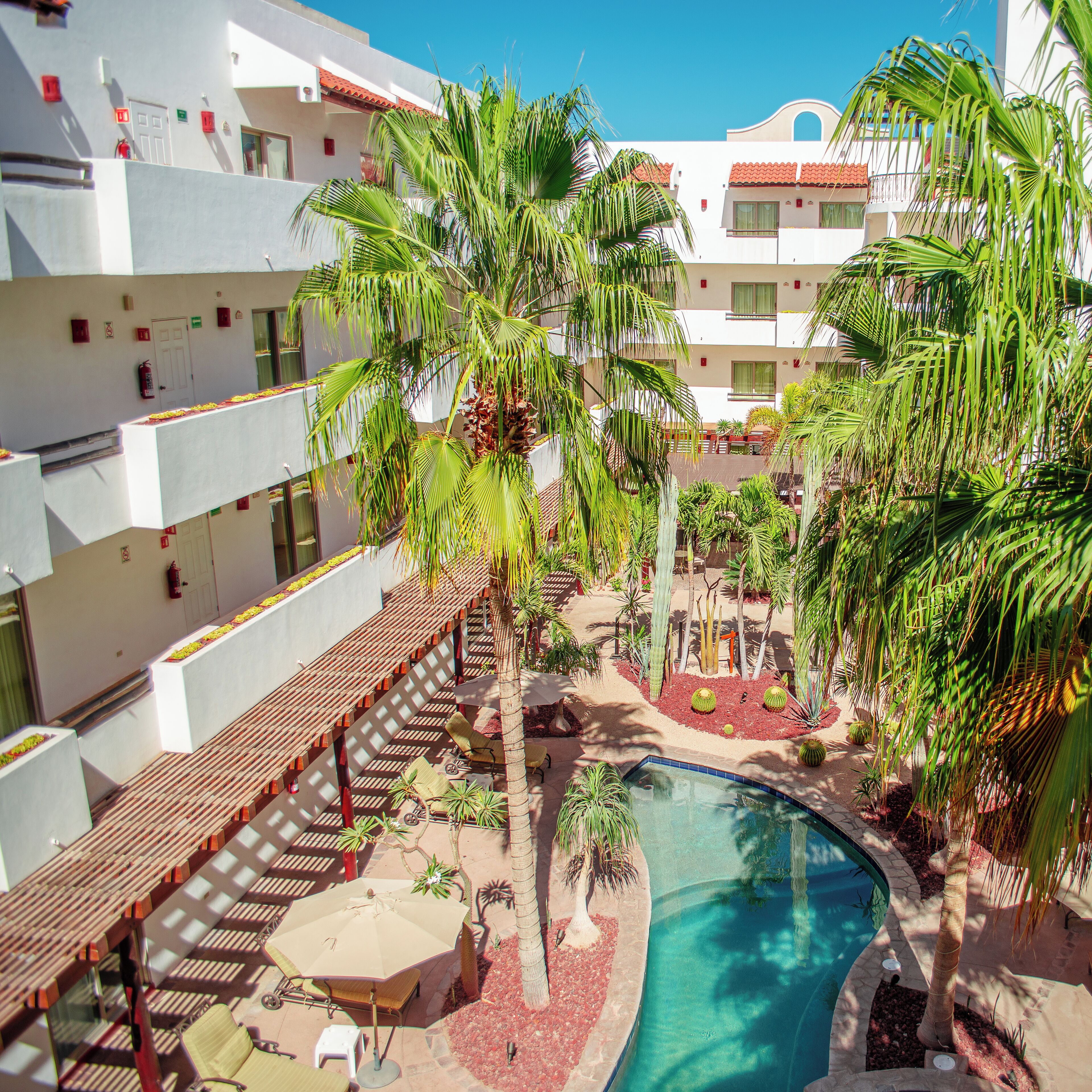 A pool area with palm trees, a covered seating area, and a building with multiple balconies.