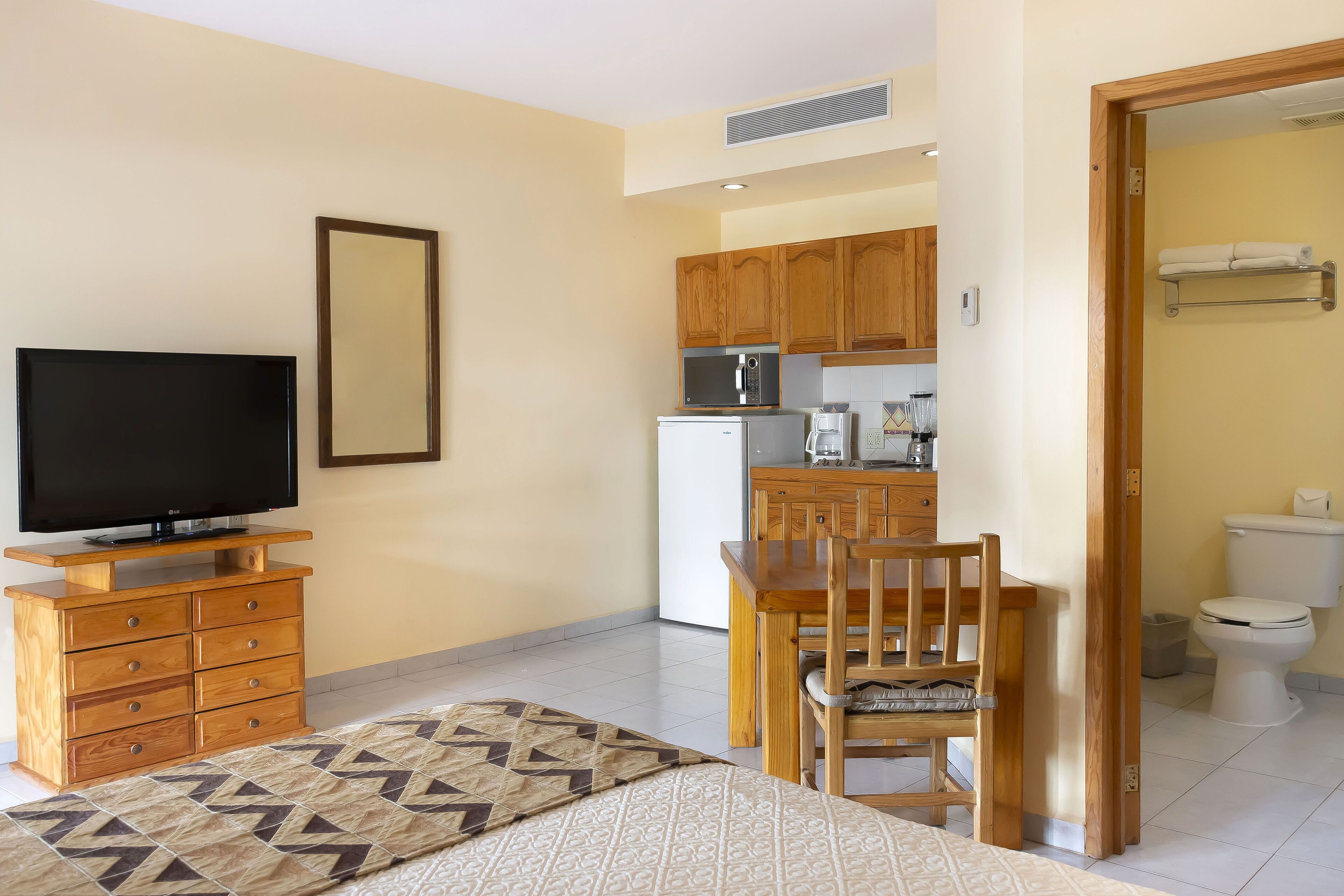 Une chambre à coucher avec un lit, un téléviseur posé sur une commode en bois, un coin cuisine avec des placards et des appareils électroménagers, et une salle de bain avec des toilettes et un porte-serviettes.