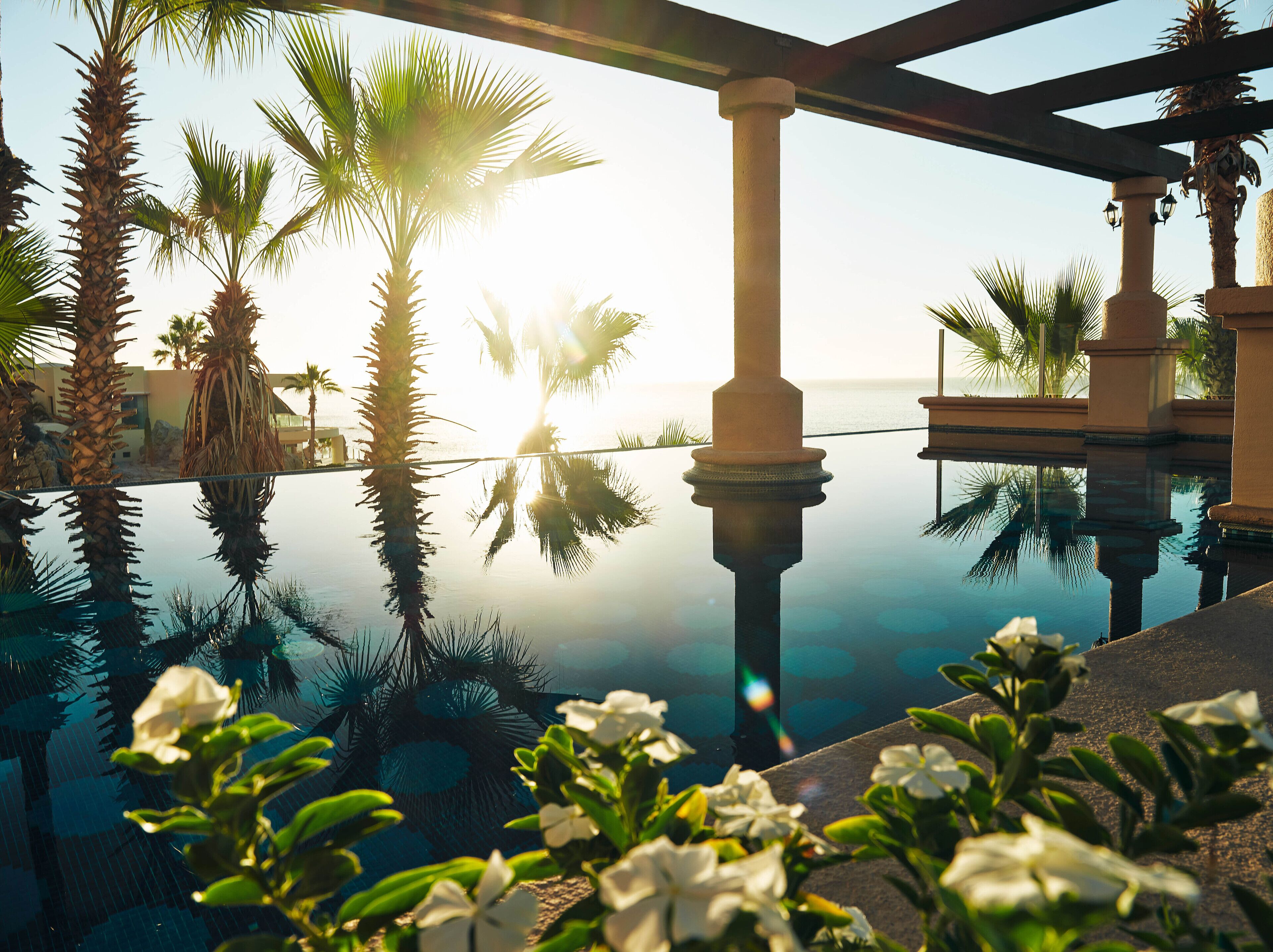 Un área de piscina tranquila con palmeras y una vista despejada del océano.