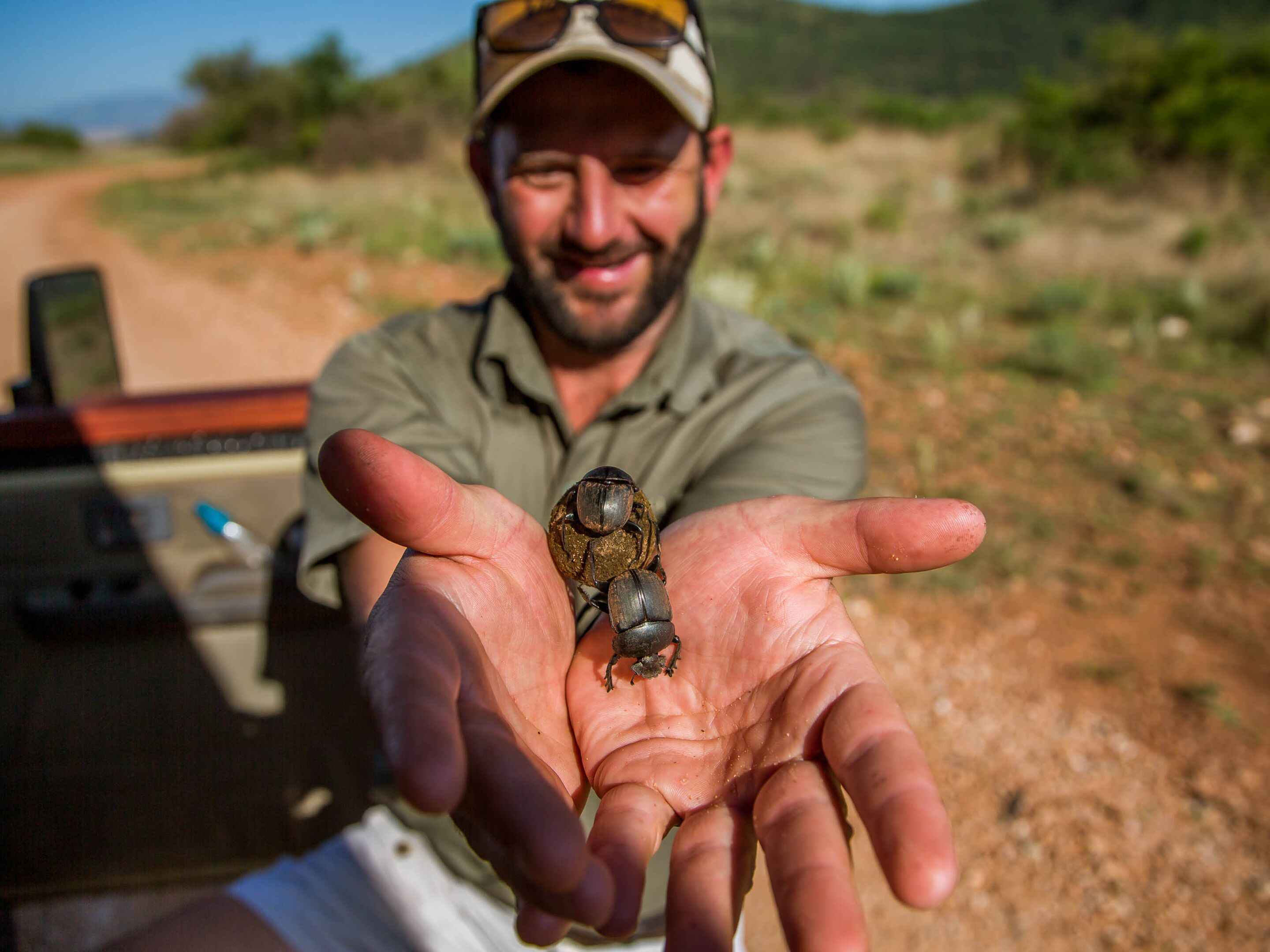 A person holding a small insect in their hand.