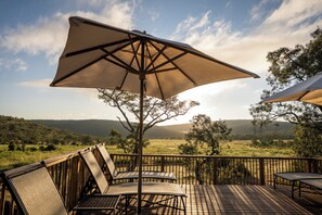 สระว่ายน้ำกลางแจ้ง, ร่มริมสระว่ายน้ำ, เก้าอี้อาบแดดริมสระ