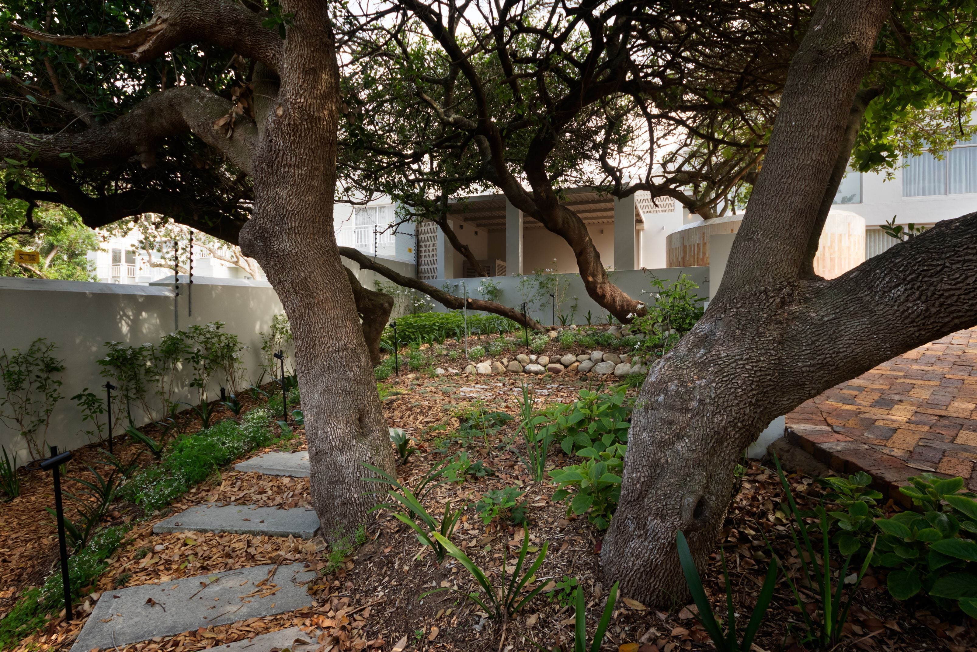 Luxury Villa | Garden view