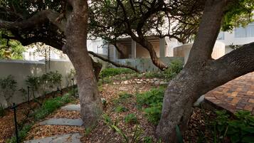 Luxury Villa | Garden view