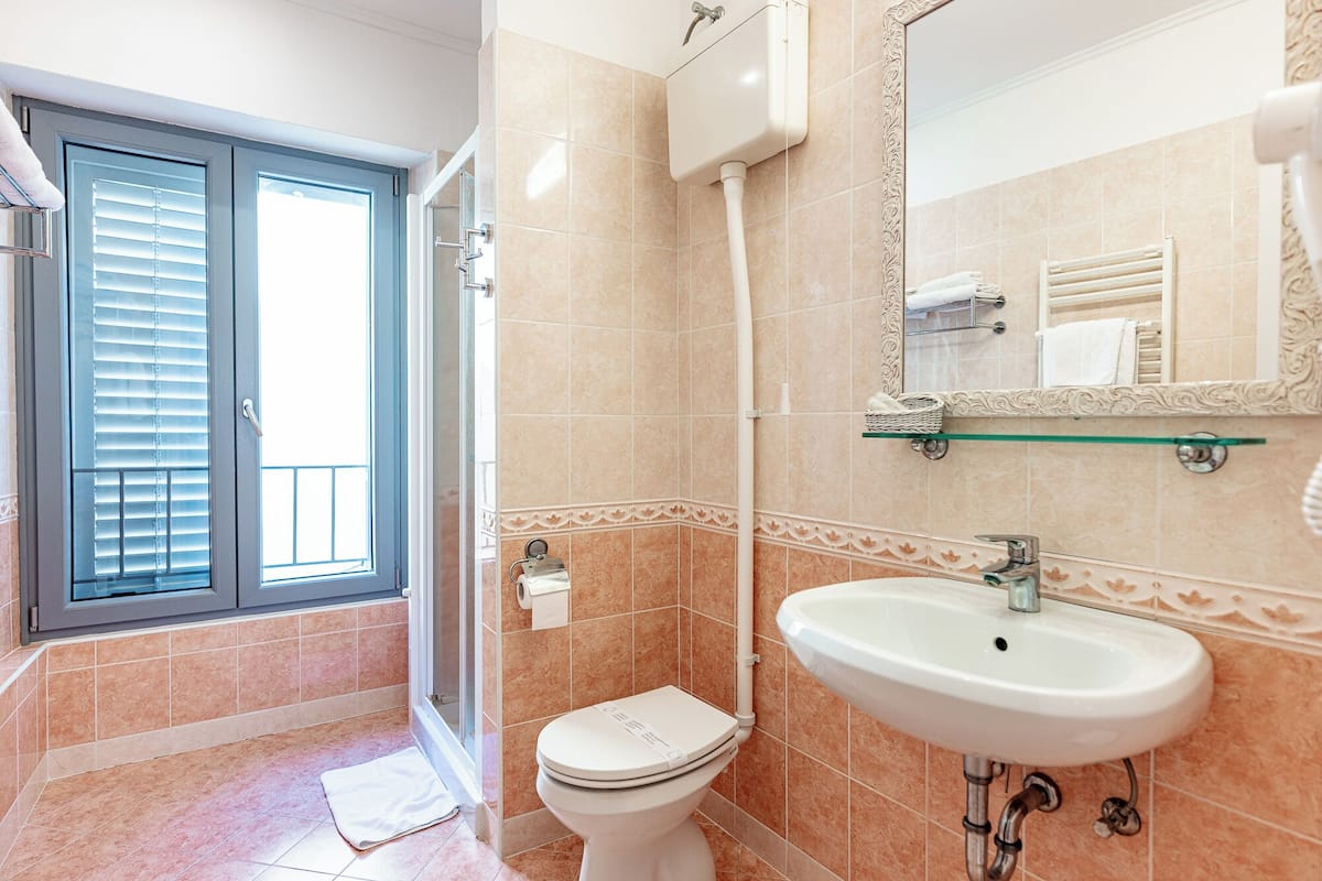 standard double or twin room | bathroom | shower, free toiletries, hair dryer, towels