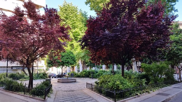 Un patio empedrado con una fuente, rodeado de árboles de hojas verdes y rojas.