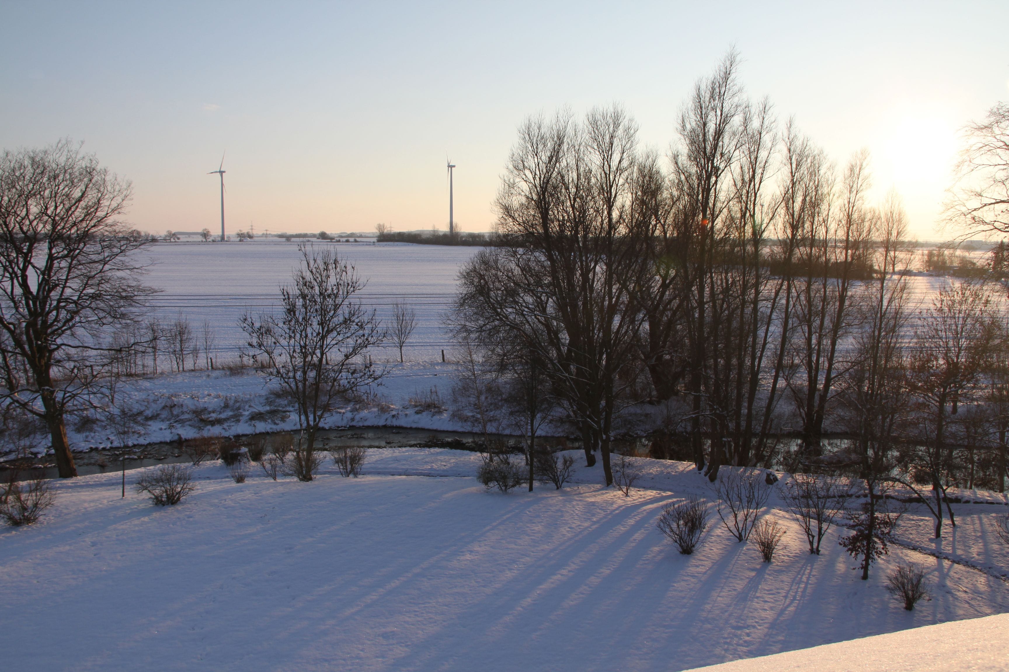 Een besneeerd landschap met kale bomen en een heldere lucht.