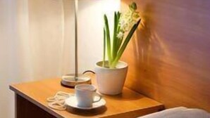 A neatly made bed with a floral pillow, a bedside table with a lamp, a cup, and a small potted plant. - Centre Hotel (Kaunas)