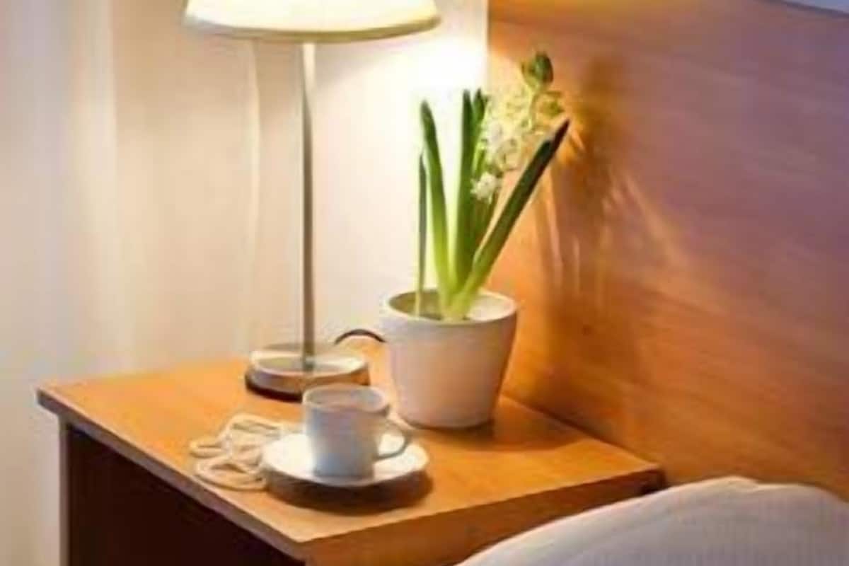 Una cama bien hecha con un cojín floral, una mesita de noche con una lámpara, una taza y una pequeña planta en maceta.