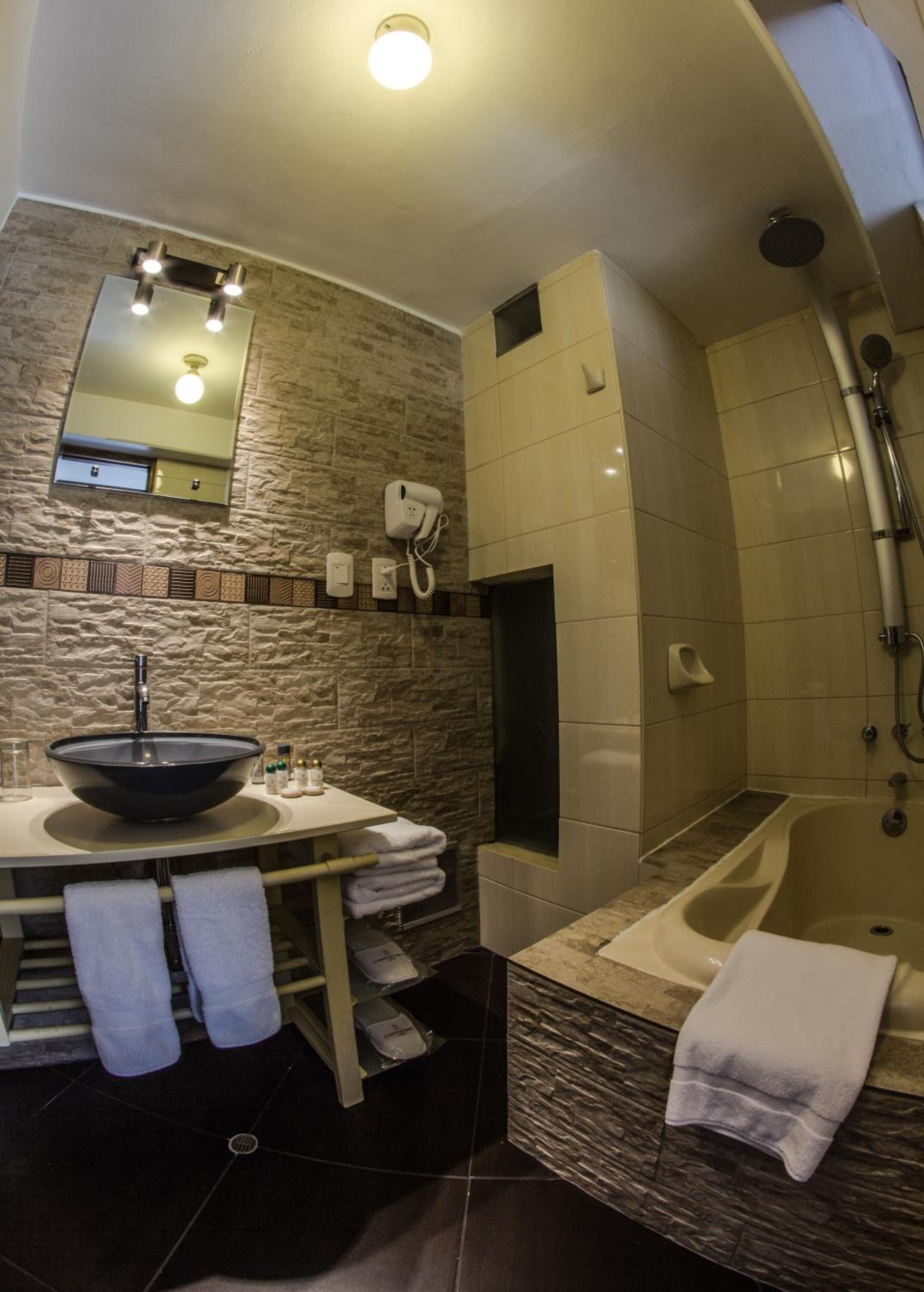 combined shower/bathtub, free toiletries, hair dryer, towels