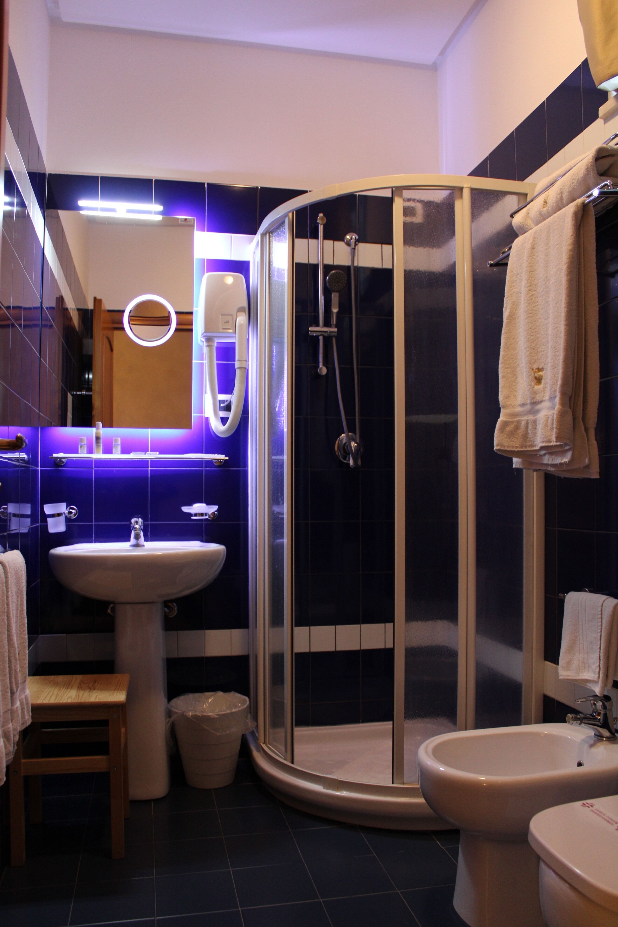 designer toiletries, hair dryer, bidet, towels