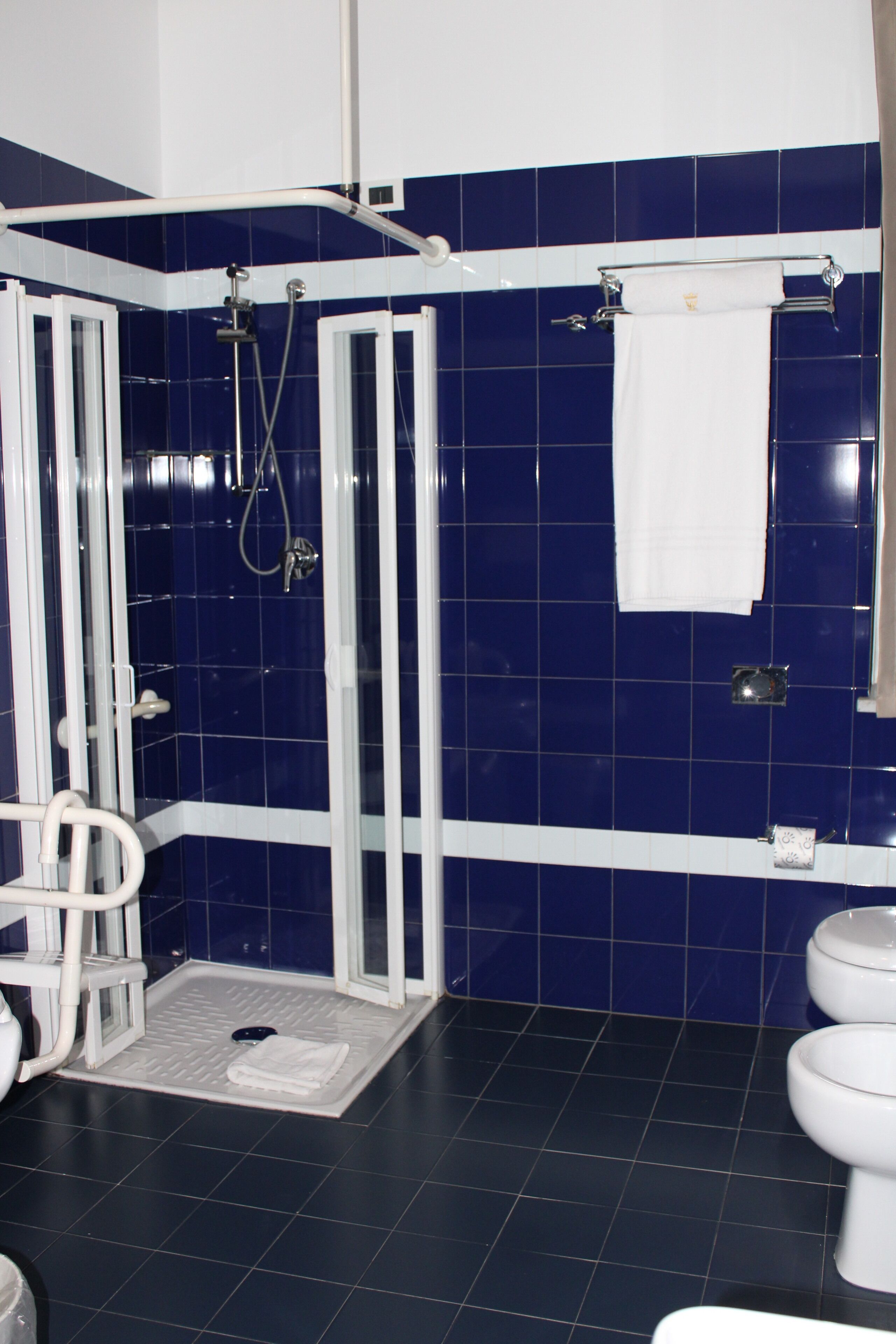 designer toiletries, hair dryer, bidet, towels