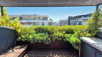 Exclusive Cottage, 2 Bedrooms, Pool Access, City View (92 Waterkant Street 2 night min stay) | Terrace/patio