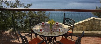 Pansion Zlatna Ribica