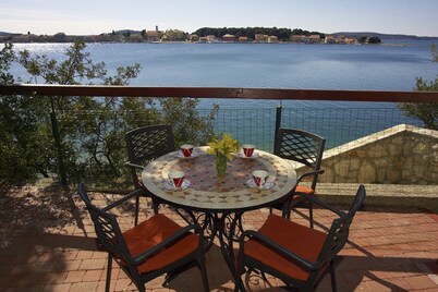 Pansion Zlatna Ribica