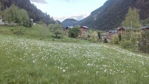 Paesaggio montuoso con un campo di fiori bianchi, una baita di legno e un edificio con tetto spiovente.