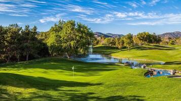Enjoy golfing amidst a serene landscape with a well-maintained putting green, pond, and shaded trees.