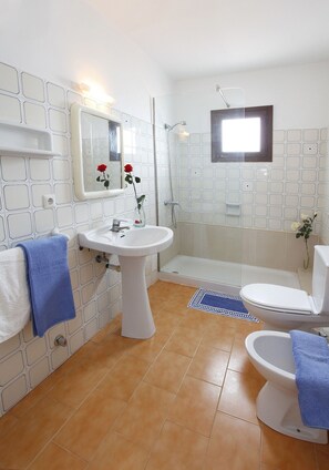Shower, bidet, towels