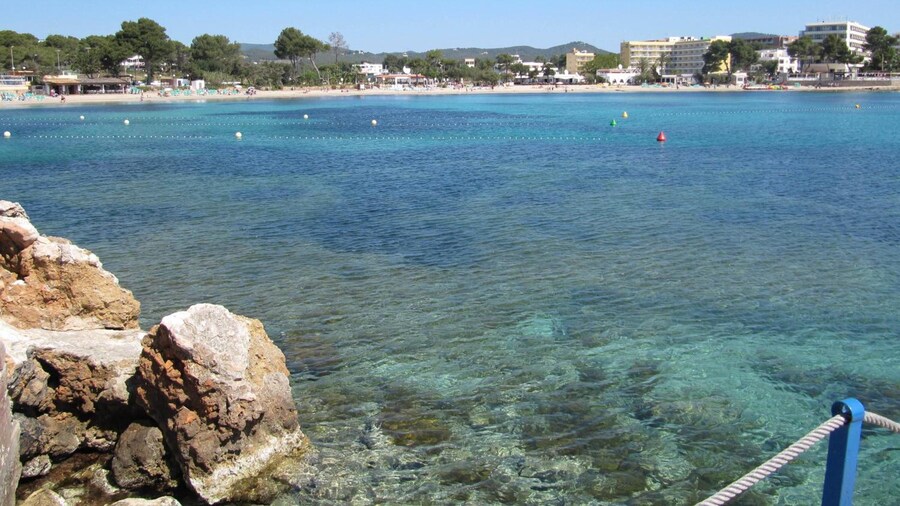 Apartamentos Typic Art