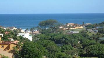 Uma área residencial costeira com casas, vegetação densa e vista para o oceano.