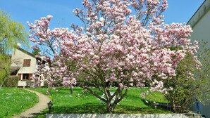 Un árbol con flores rosadas en un jardín.