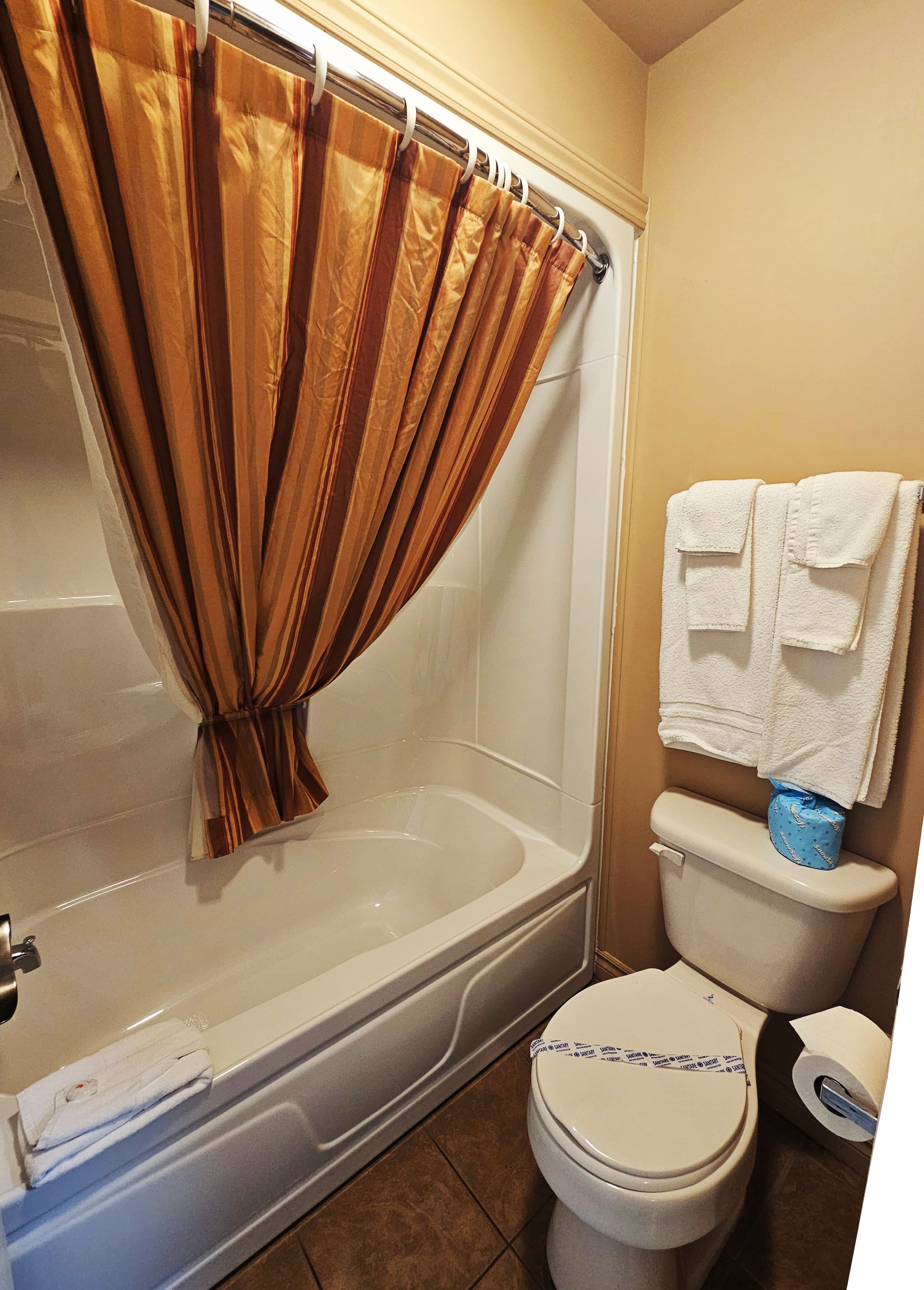 A bathroom with a bathtub, toilet, and a shower curtain.