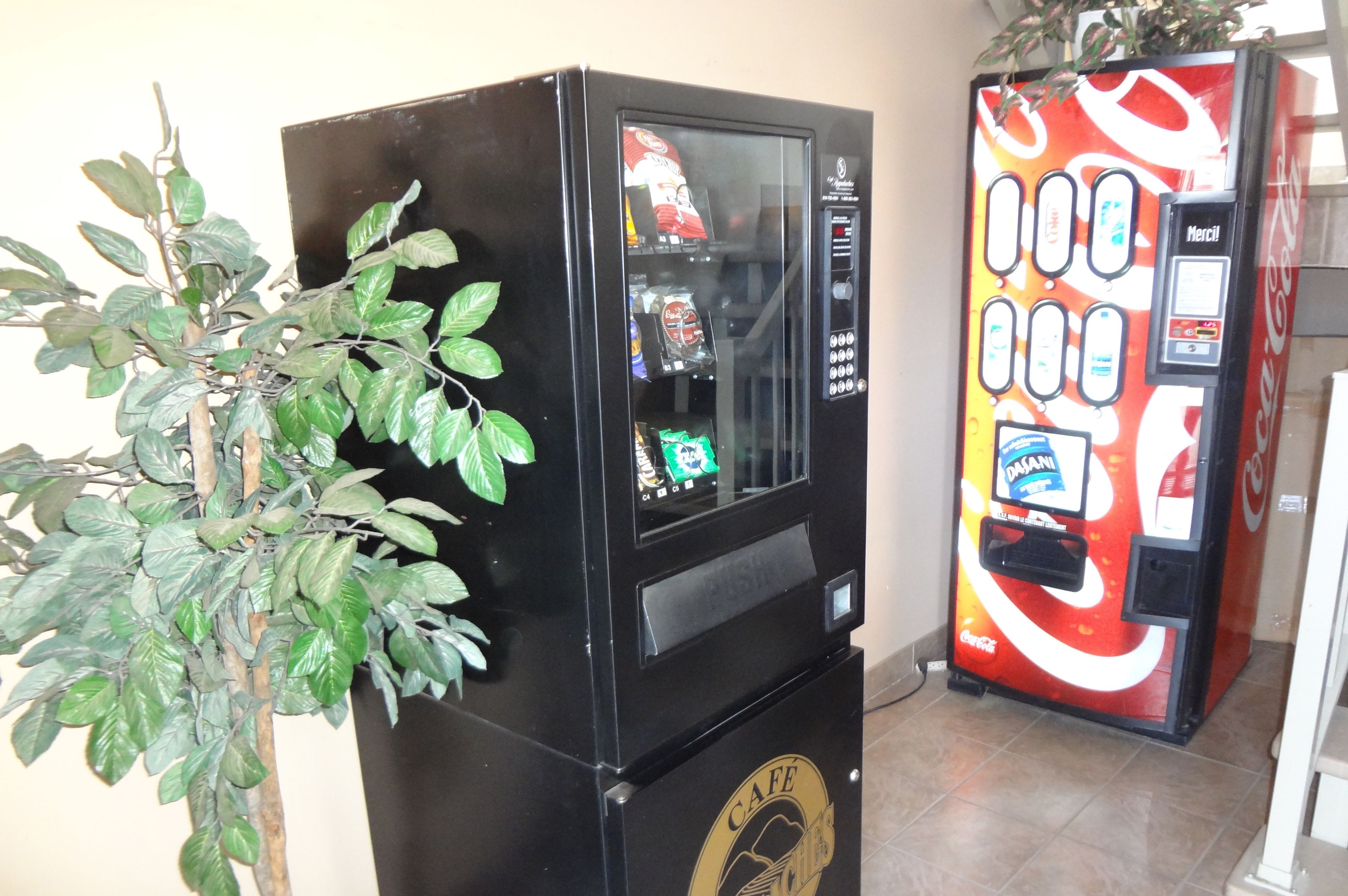 A vending machine with a Coca-Cola logo and a plant beside it.