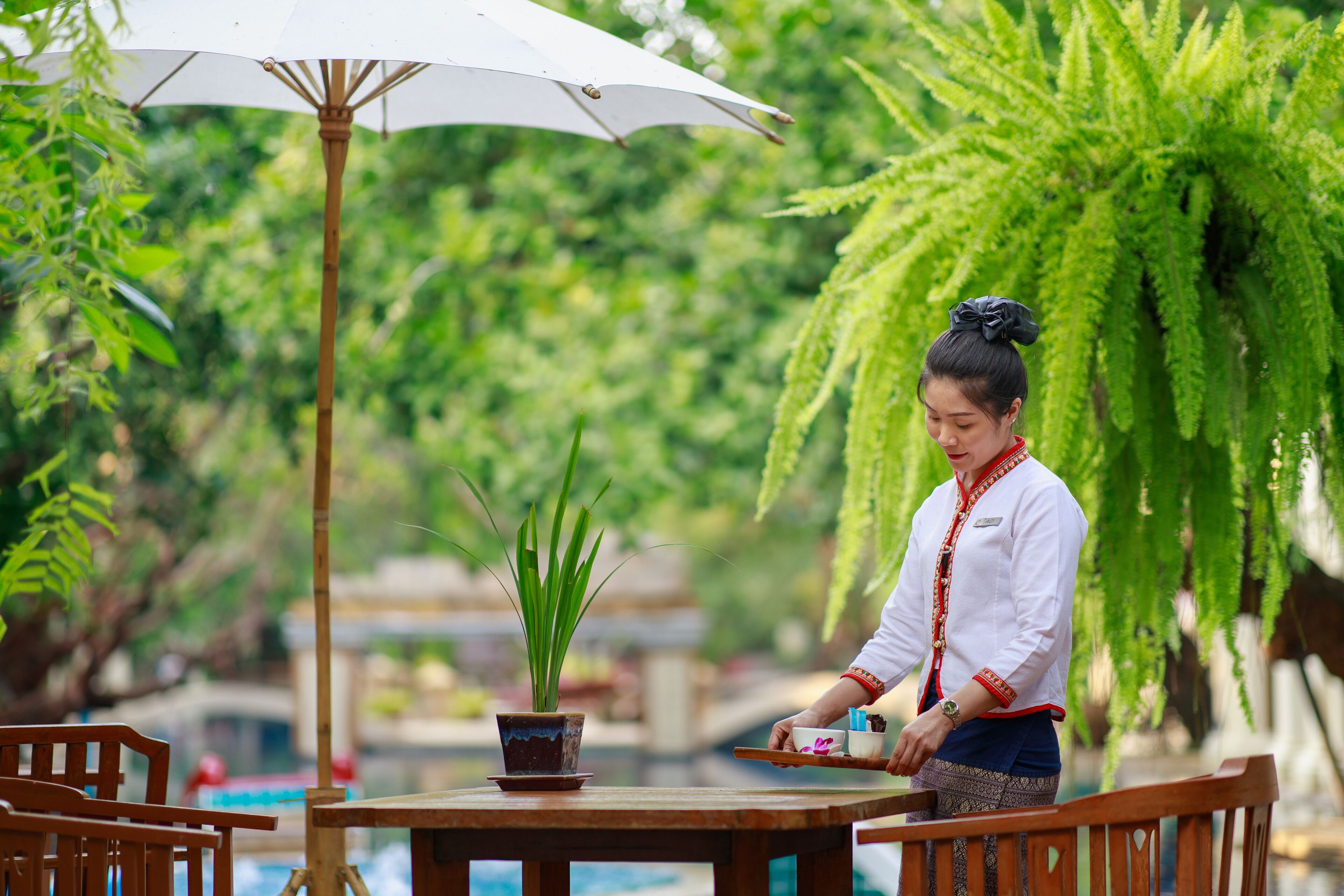 A person serving at an outdoor table with a potted plant and a tray of items.