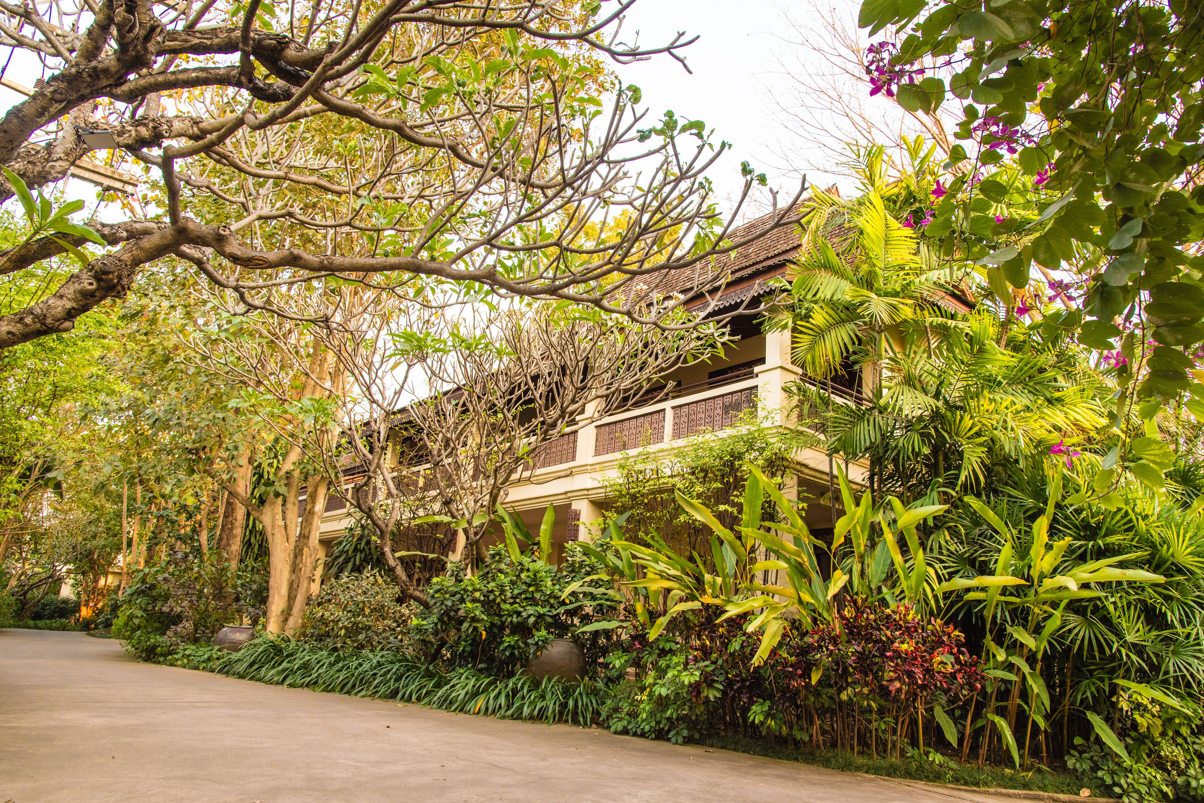 A traditional building with a balcony, surrounded by lush greenery and a paved walkway.