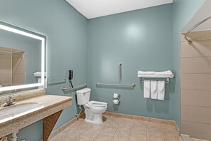 A bathroom with a sink, toilet, handrails, and a mirror. - Best Western Plus Glen Allen Inn (Glen Allen)