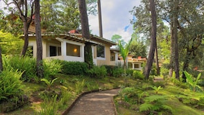 A house surrounded by lush greenery and a winding pathway.