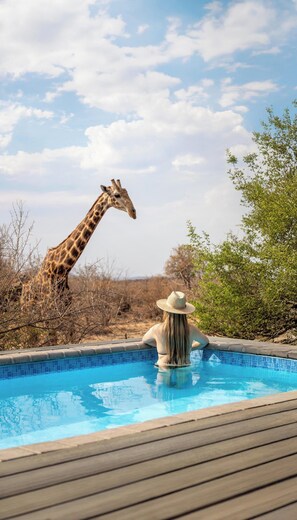 Family Suite | Terrace/patio - Tuningi Safari Lodge (Ramotshere Moiloa)