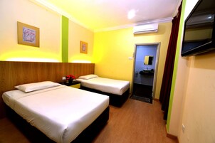 Camera con letto matrimoniale o 2 letti singoli | Vista dalla camera