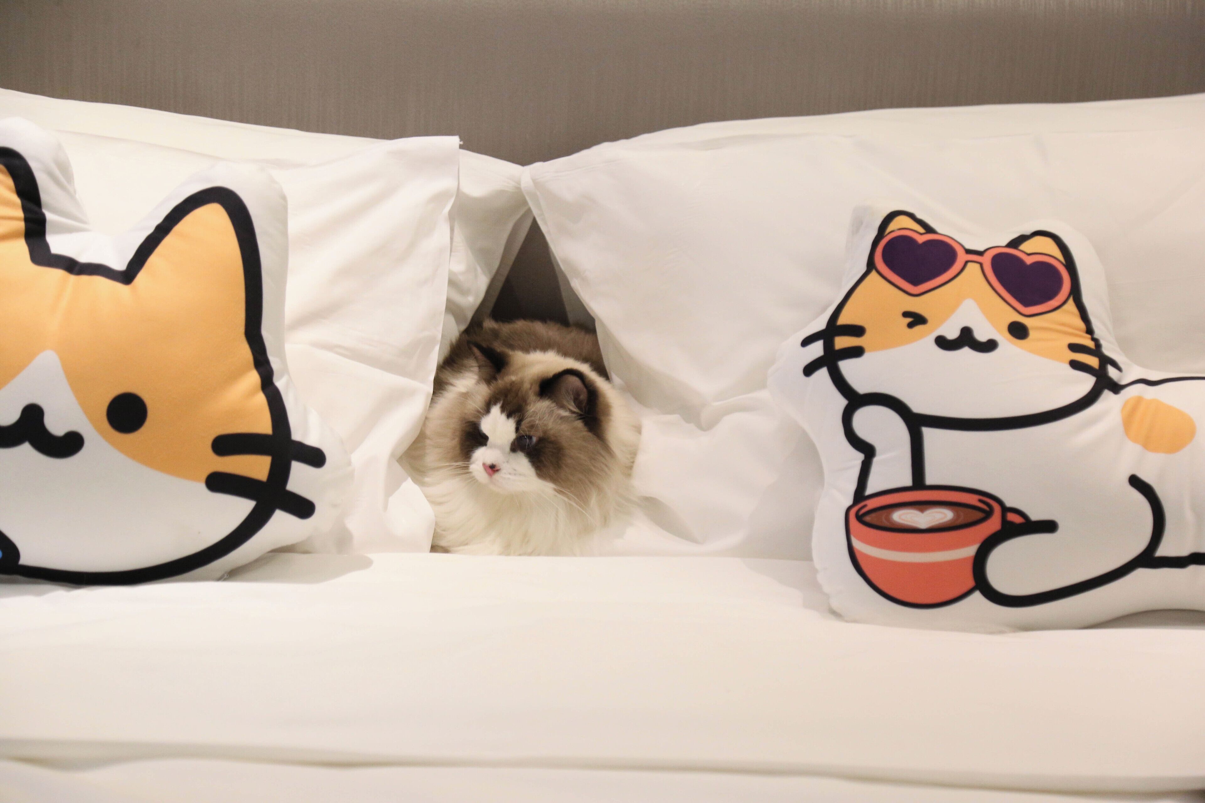 Ein Bett mit zwei Kissen, verziert mit Hello Kitty-Motiven.