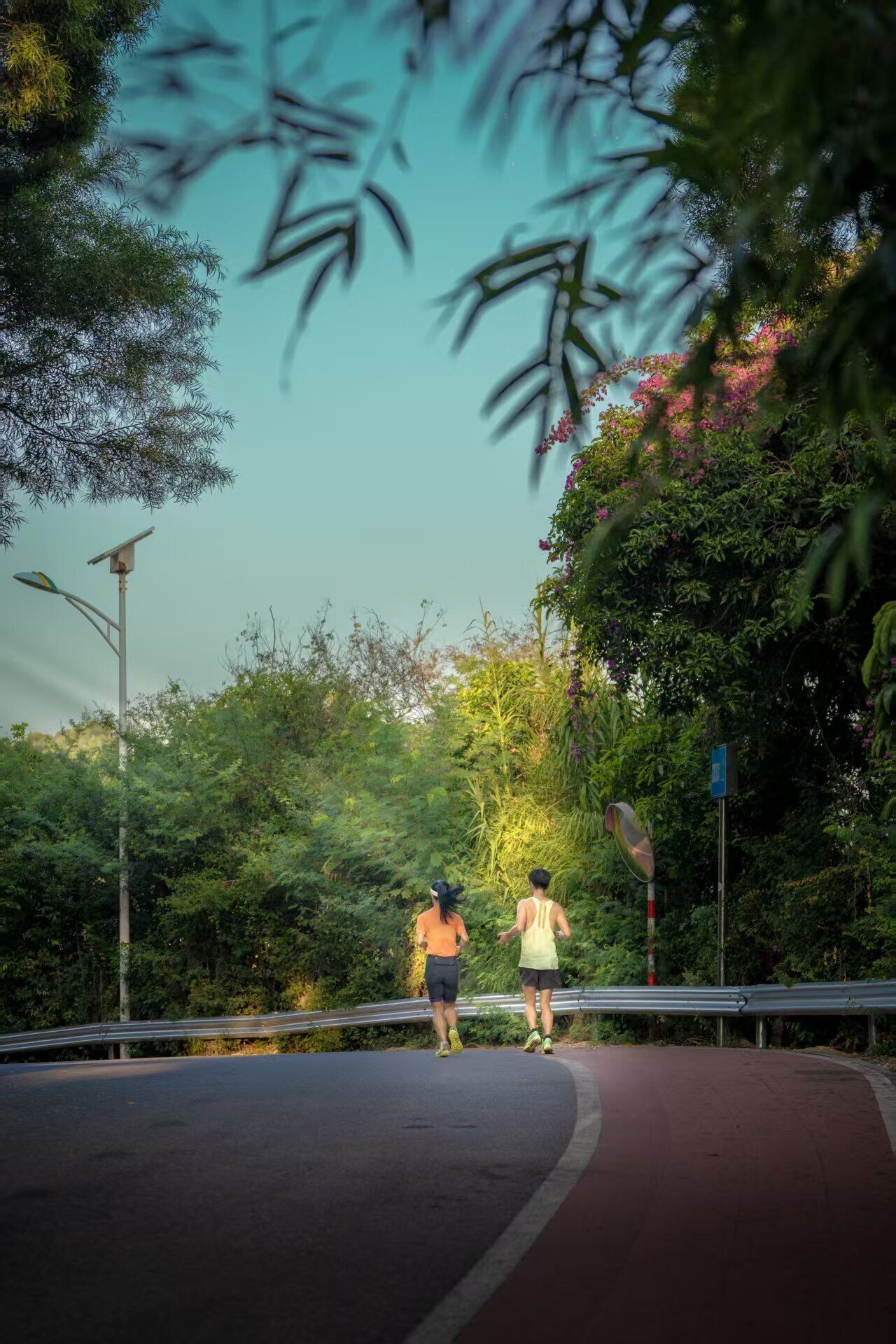 A paved path with metal railings, surrounded by dense greenery and trees.