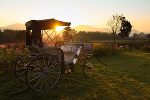 A horse-drawn carriage in a grassy field with mountains in the background.