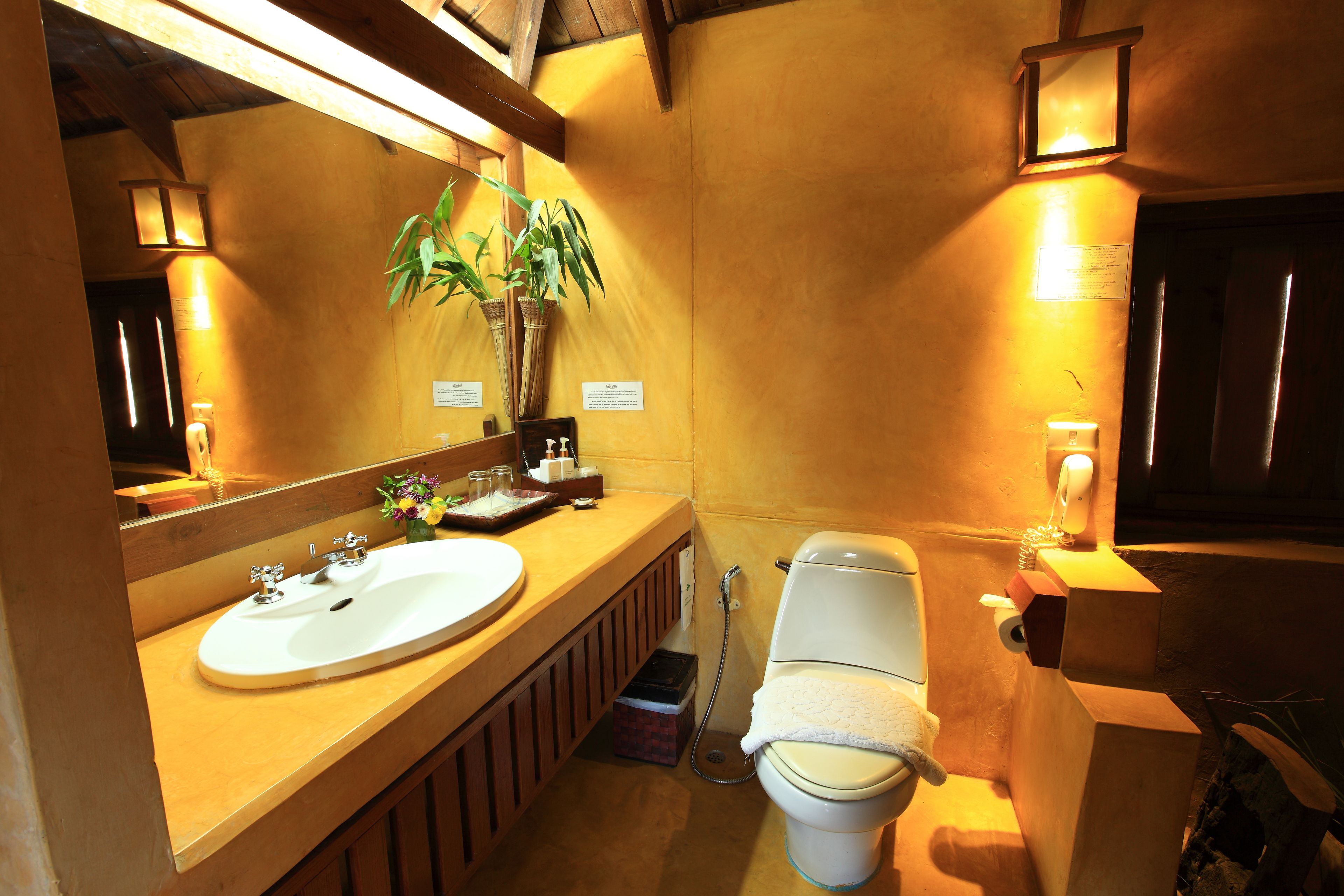 A bathroom with a wooden vanity, a white sink, a mirror, a toilet, and a plant.
