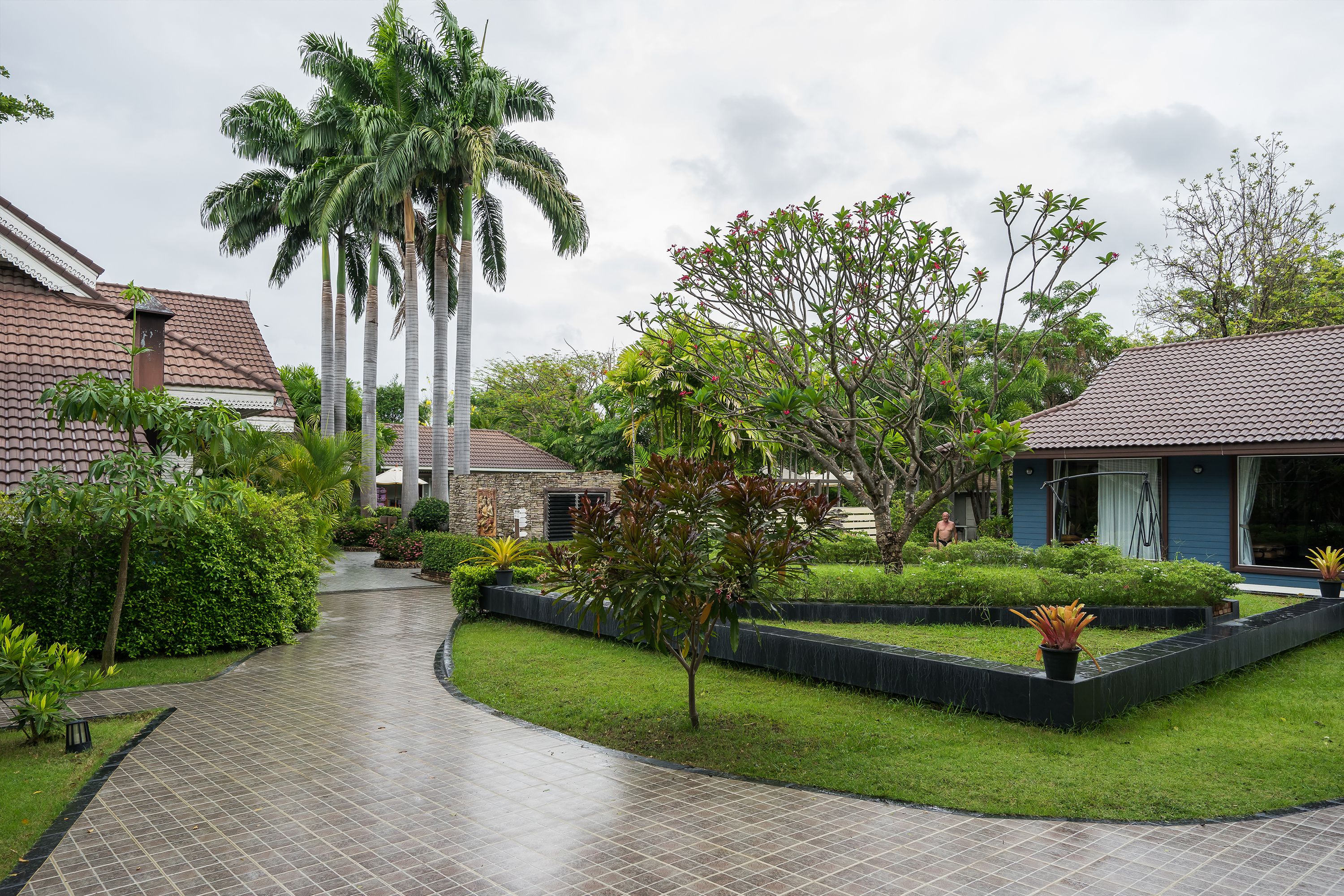A residential area with a paved walkway, palm trees, and well-maintained gardens.
