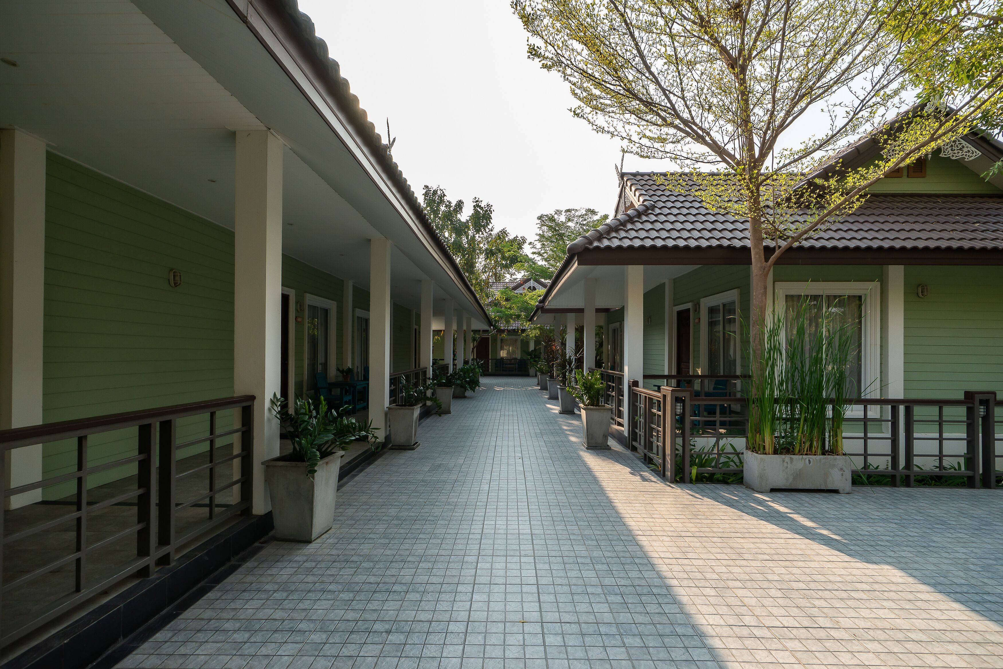 A corridor with tiled flooring, green walls, and potted plants.