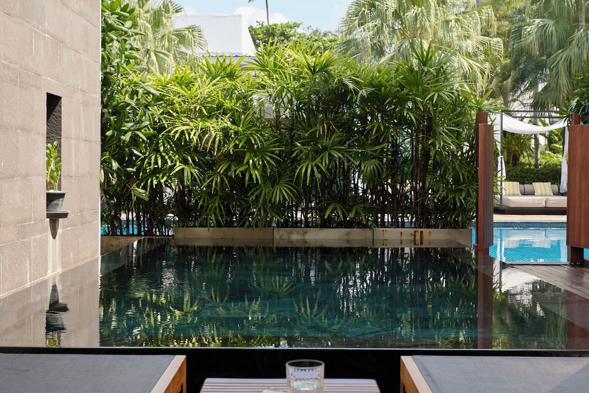 Área de piscina con vista al estanque, rodeada de exuberante follaje y palmeras. Hay dos sillas de descanso y una mesa con un libro y un vaso.