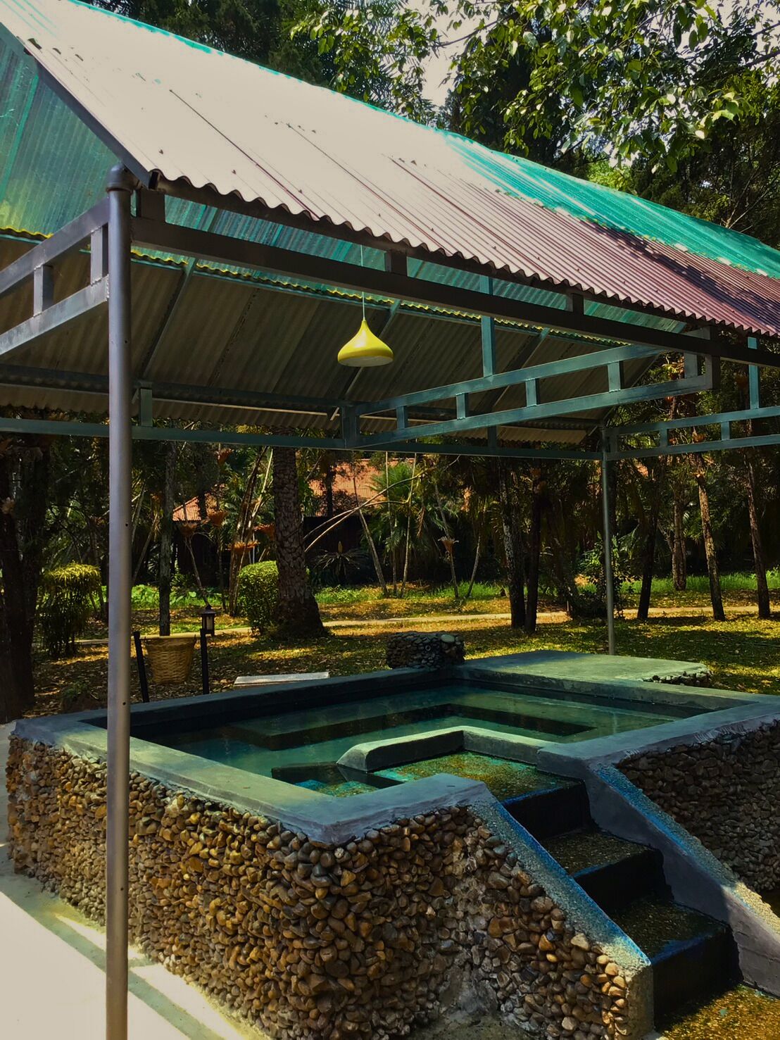 A covered outdoor pool with steps leading into it, surrounded by a garden with trees and a metal roof structure.